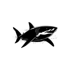 Shark Vector