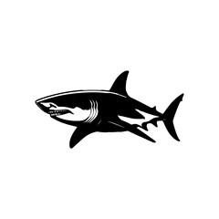 Shark Vector