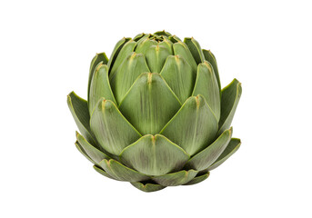 Fototapeta premium Isolated Fresh Green Artichoke Vegetable Raw Diet Source on Transparency