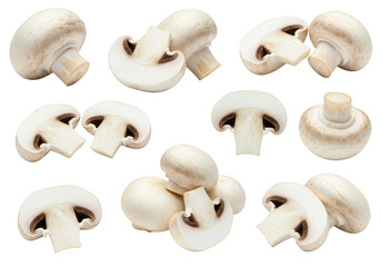 Isolated Mushroom Group Raw Agaricus Food on Transparent Background PNG