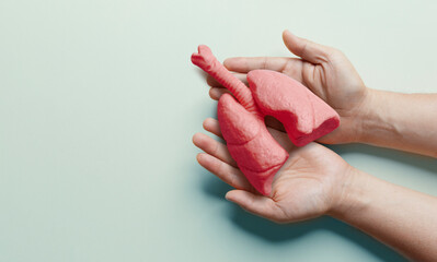 Healthy red lung model in man's hand on pastel green background.adult hands giving a red lung,...