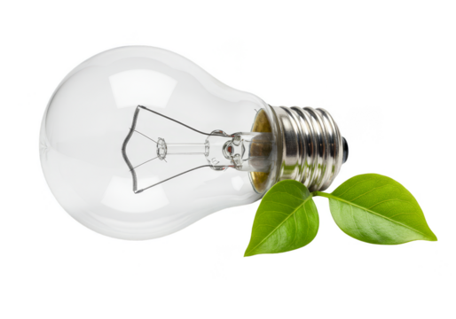 Isolated Light Bulb with Green Leaves Transparent PNG for Eco Energy