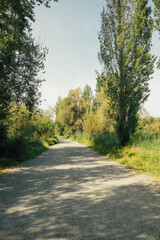 empty path on UW Wetlands, canal road