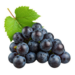 Isolated Transparent Bunch of Grapes Fruit Food Fresh Wine