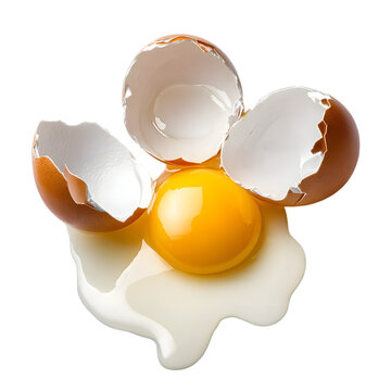 Cracked egg with bright yellow yolk and broken shell pieces isolated on a white background.