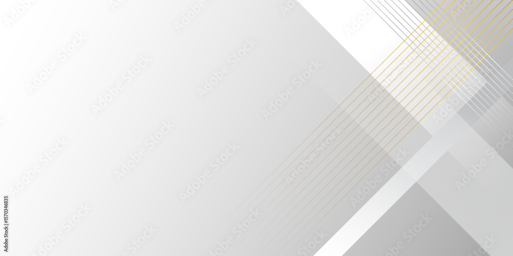 Poster elegant abstract background with grey lines with shadow. modern abstract golden line light dynamic s