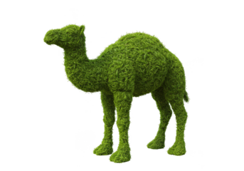 Isolated Topiary Camel Bush Green Leaves on Transparent Background