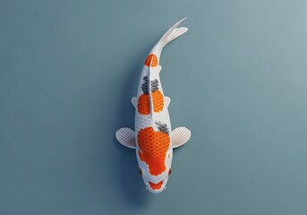 Single White, Orange, And Black Sanke Koi Fish Swims Straight Down In A Top-Down View Against A Minimalist Muted Blue-Green Background, Zen Garden, Japanese Culture, Aquatic Life