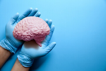 doctor hands holding brain model autistic brain on light blue background, stroke, epilepsy and alzheimer's disease, stroke,world mental health day, hands giving a red heart. praying concept