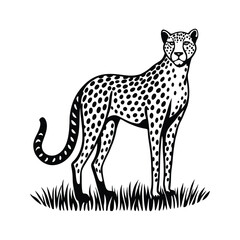 vector illustration of a wolf