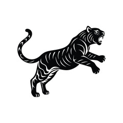 tiger on white background