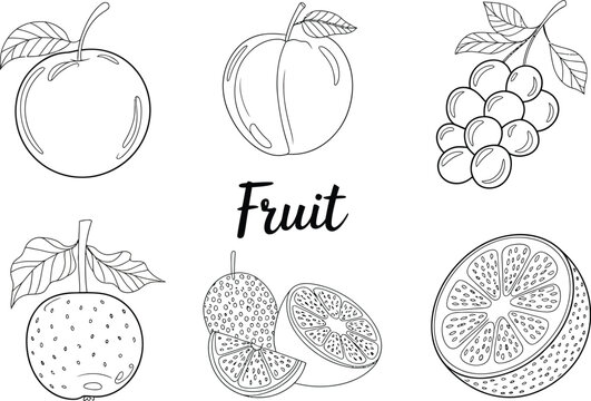 Black and white line art illustration of various fruits including apple peach grapes