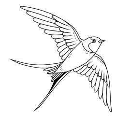 Swallow bird flying, Black and White Vector Illustration, Sketch Drawing Line Linear Symbol Icon Engraving, Hand-drawn Isolated
