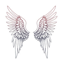 Fototapeta premium White Angel Wings Feather Isolated on Transparency PNG Illustration