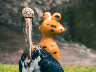 ホーチミンのサイゴン動植物園