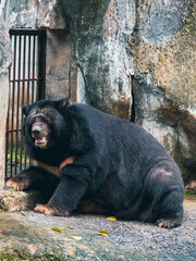 ホーチミンのサイゴン動植物園