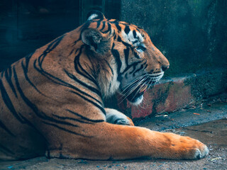 ホーチミンのサイゴン動植物園