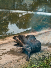 ホーチミンのサイゴン動植物園