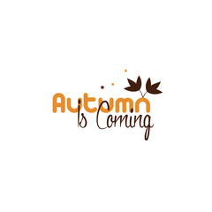 Hand-drawn autumn leaves collection and Autumn vector T-shirt design