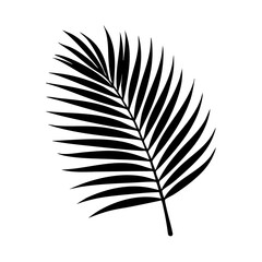 Palm leaf silhouette