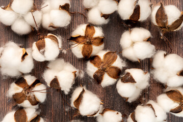 Natural artificial cotton buds scattered on a rustic wooden surface. Perfect for handmade decorations, eco-friendly crafts, and autumn-inspired designs with a warm, cozy vibe