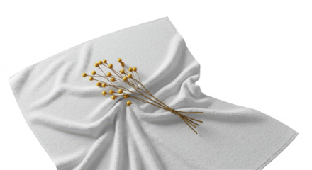 Sand Fabric Texture with Dried Flower Isolated Transparent Background