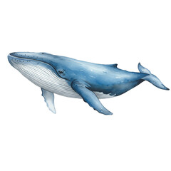 Obraz premium Watercolor Blue Whale Illustration Aquatic Mammal on Transparent Background