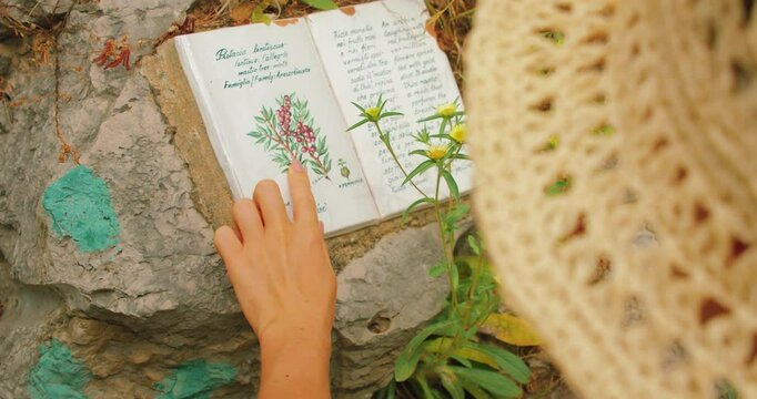 Woman examining a botanical ceramic tile trail marker in a natural park in Capri