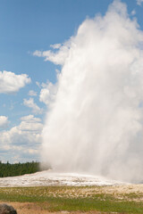 Old Faithful Geyser in Yellowstone National Park Wyoming