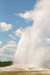 Old Faithful Geyser in Yellowstone National Park Wyoming