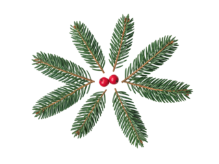 Winter Wonderland Festive Fir Sprigs Berries isolated on transparent background