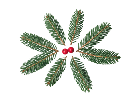 Winter Wonderland Festive Fir Sprigs  Berries isolated on transparent background