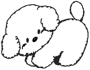 푸들 강아지 손그림 드로잉 스티커