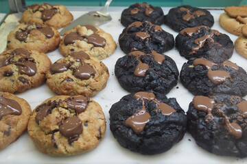 Homemade chocolate cookies fresh from the oven