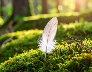 Soft White Feather On Mossy Forest Floor