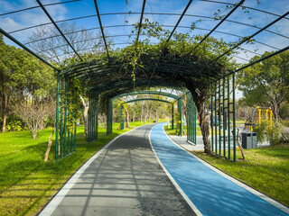 Inviting Pathway Through Lush Greenery in a Tranquil Urban Park