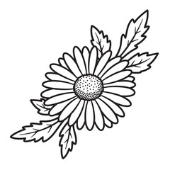 Detailed black and white daisy flower illustration with leaves for design and decoration purposes