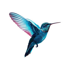 Obraz premium blue hummingbird flying