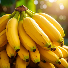 fresh Bananas, in organic garden, close up, High resolution
