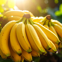 fresh Bananas, in organic garden, close up, High resolution