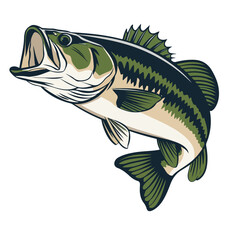 A largemouth bass fish