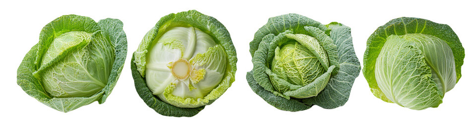 Fresh green cabbage heads showing interior leaf textures isolated on transparent background