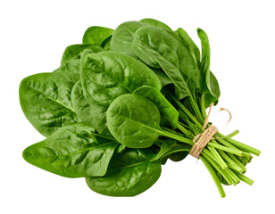 Fresh green spinach leaves tied with twine. Isolated transparent background