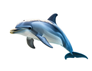 Obraz premium Underwater View of Dolphin Swimming with Sunbeams, isolated on a transparent background