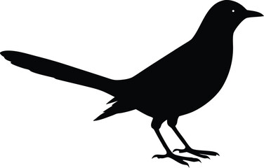 cuckoo silhouette vector minimal wild bird clipart