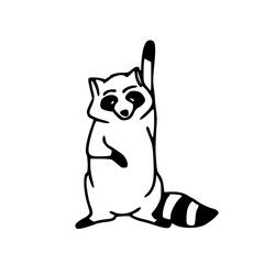 raccoon pointing up cartoon