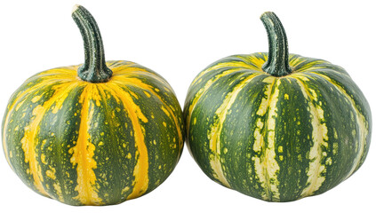 Two small, round pumpkins, vibrant yellow-green stripes