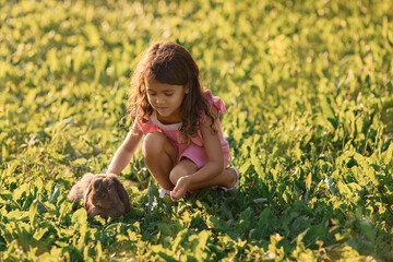 Little girl playing with brown rabbit on green grass at summer days