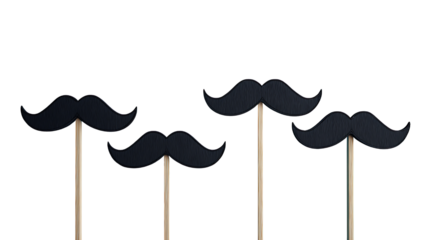 Each fake mustache is mounted on a thin wooden stick.