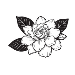 Elegant black and white gardenia flower illustration with detailed petals and leaves design